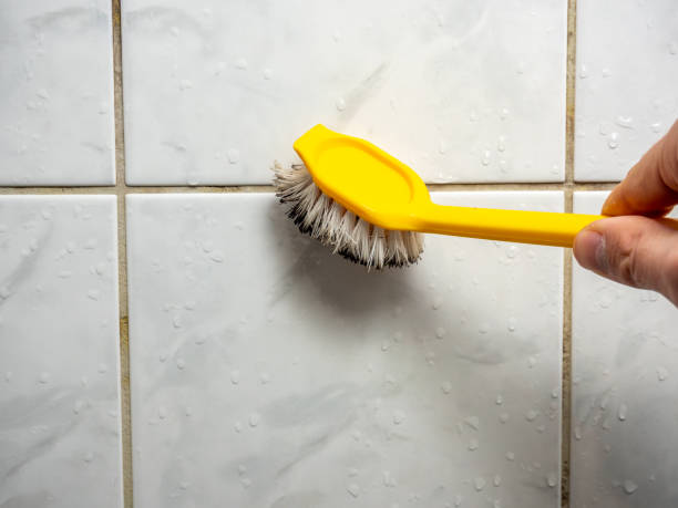 Best Localized Mold Remediation (e.g., coastal areas, humid climates) in Heyworth, IL