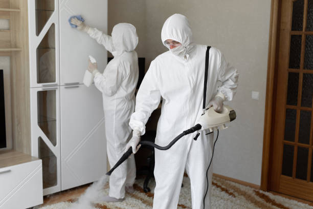 Best Residential Mold Remediation in Heyworth, IL