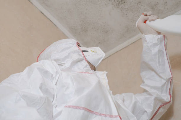 Best Industrial Mold Remediation in Heyworth, IL